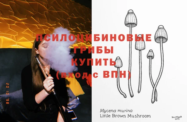 ГАЛЛЮЦИНОГЕННЫЕ ГРИБЫ Белокуриха