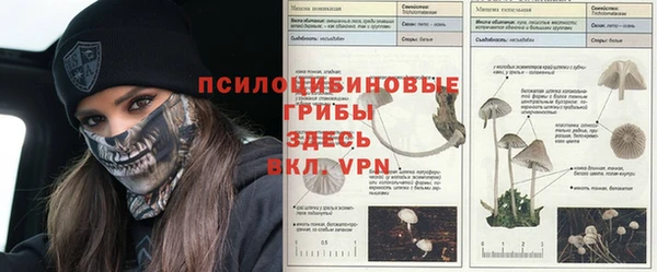 таблы Беломорск